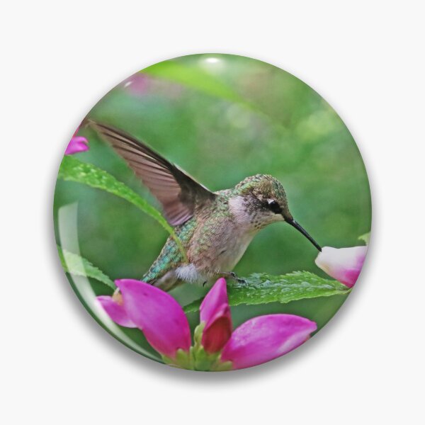 Item preview, Hummingbird Landing On Dewy Leaf designed and sold by Deb Oppermann.