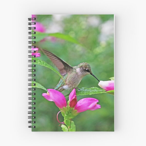 Item preview, Hummingbird Landing On Dewy Leaf designed and sold by Deb Oppermann.