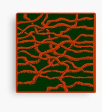 Natural Way Canvas Print