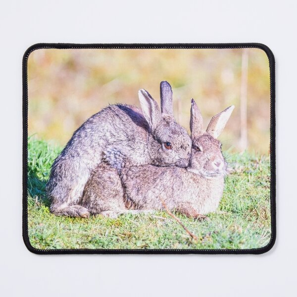 Item preview, Bunny love  designed and sold by Jinxyboy1908.