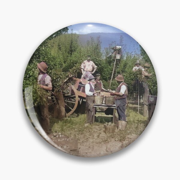 Item preview, 1900s Apple Pickers in Rural Tasmania  designed and sold by taspaul.