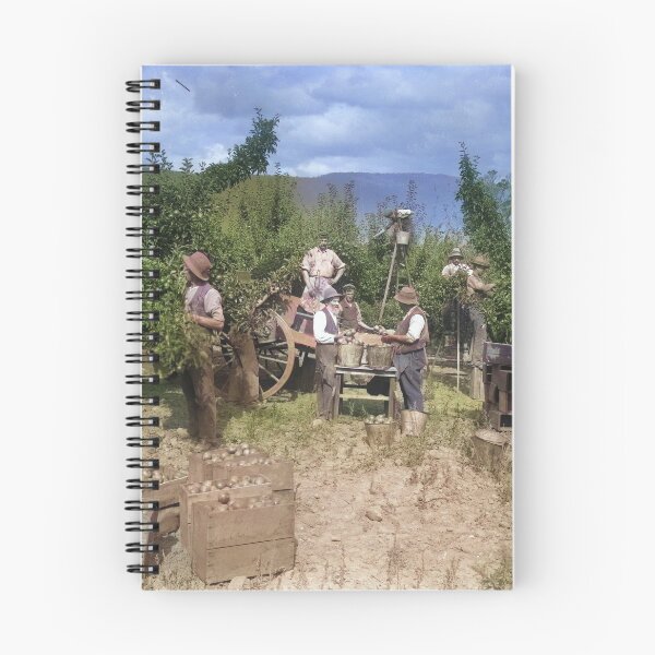 Item preview, 1900s Apple Pickers in Rural Tasmania  designed and sold by taspaul.