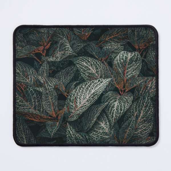 Item preview, Hibernation designed and sold by Steve Walser.