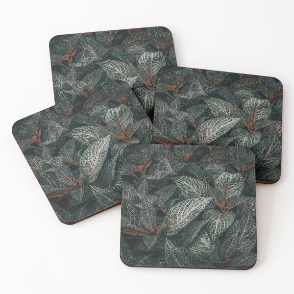 Item preview, Hibernation designed and sold by Steve Walser.