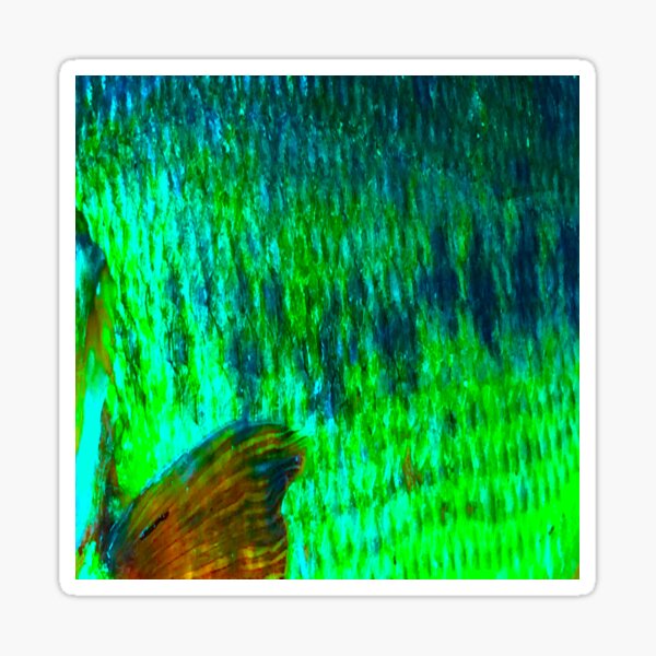 Vista previa del artículo con la obra «Patrón de piel de lobina negra verde azul brillante», diseñado y vendido por CJRPics.