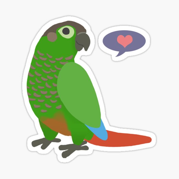 Green Cheek Conure Sticker