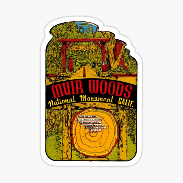 Item preview, Muir Woods National Monument Vintage Travel Decal designed and sold by hilda74.
