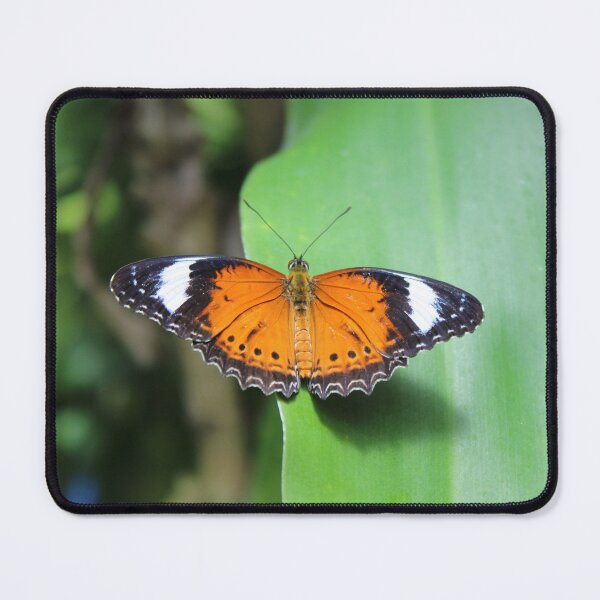 Item preview, Let the Monarch be designed and sold by lolla-doesstuff.