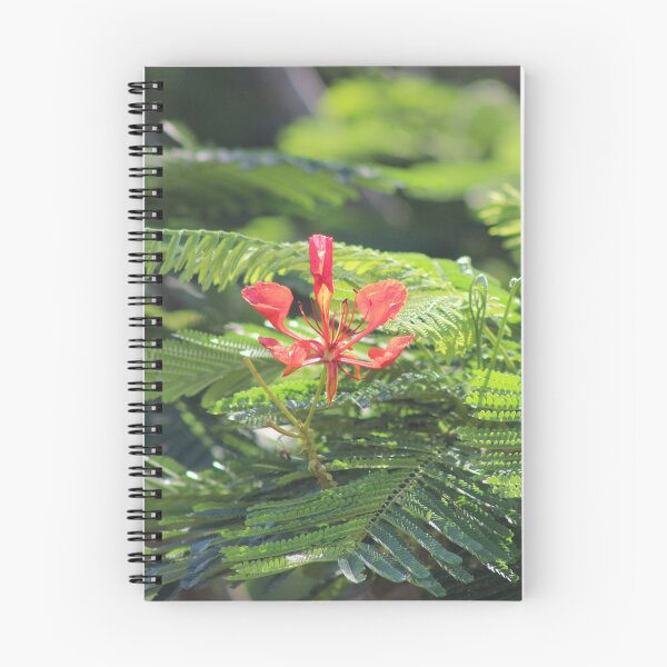 Item preview, Bright tropical garden designed and sold by lolla-doesstuff.
