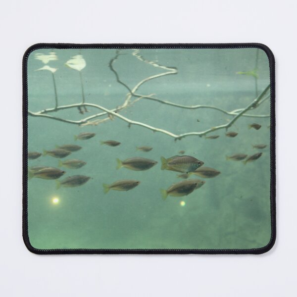 Item preview, Tropical fish designed and sold by lolla-doesstuff.