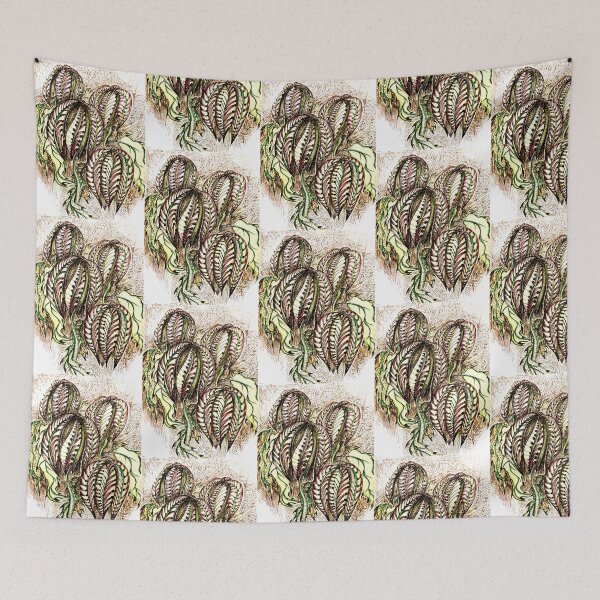 Item preview, Thorny plant with berries  designed and sold by Doodle Mind Journeys.