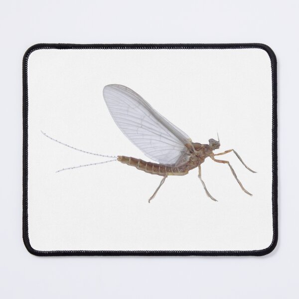 Item preview, Mayfly designed and sold by MountMercantile.