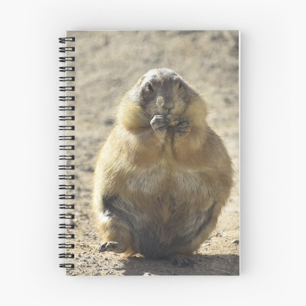 Item preview, Prairie Dog Eating designed and sold by Kathleen Brant.
