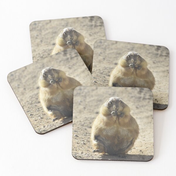 Item preview, Prairie Dog Eating designed and sold by Kathleen Brant.