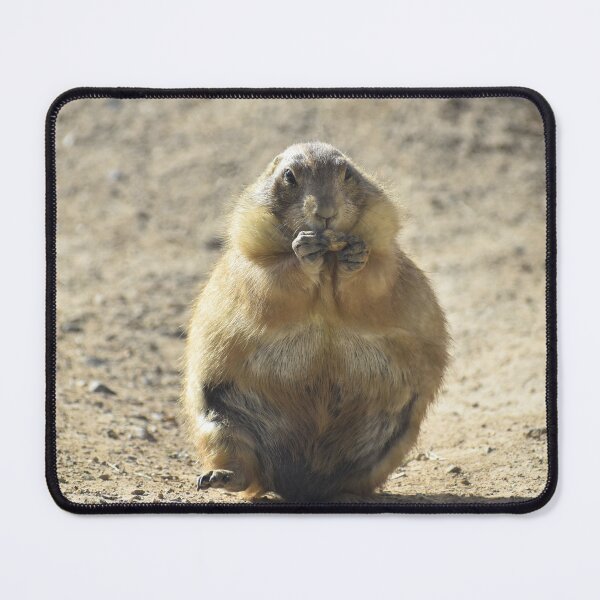 Item preview, Prairie Dog Eating designed and sold by Kathleen Brant.