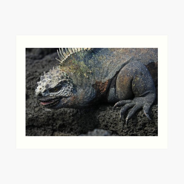 Dragon Art Print
