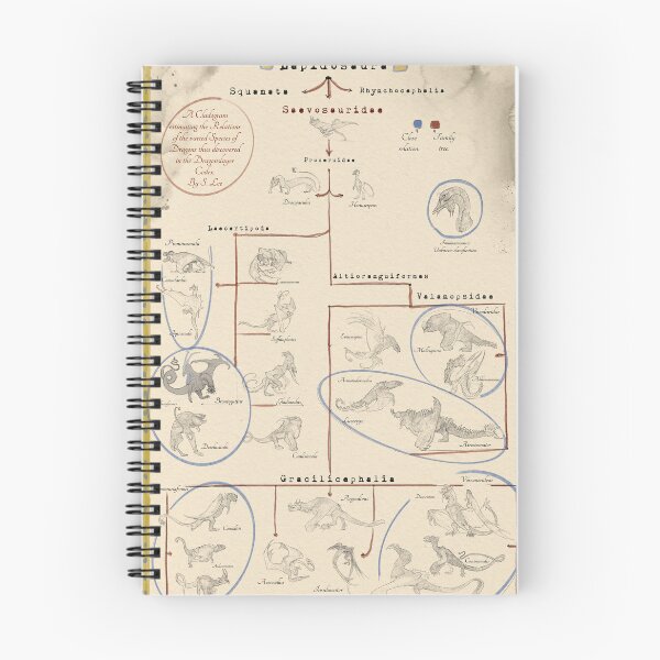 Item preview, Dragon Species Cladogram designed and sold by sleeart.