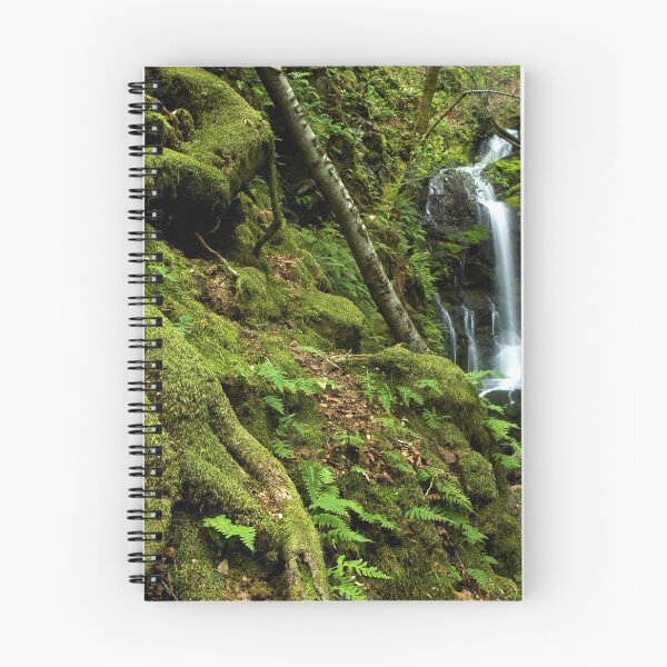 Item preview, Ancient Jungle - Uvas Canyon, California designed and sold by Matt Tilghman.