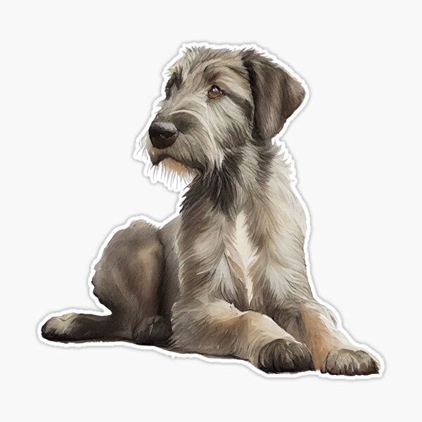 st,large,507x507-pad,600x600,