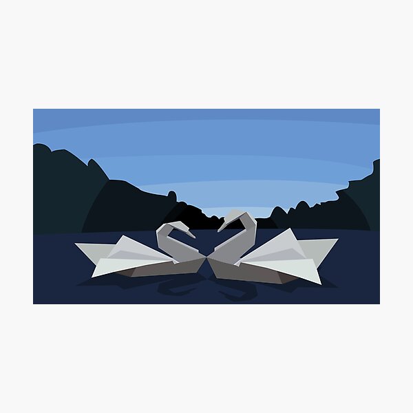The Swan Lake Photographic Print