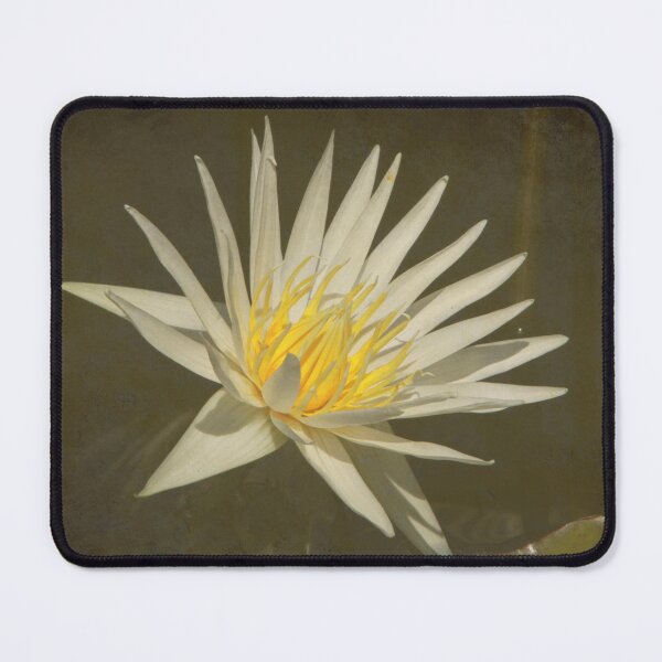 Item preview, Rhapsody in White Water Lily with Texture designed and sold by Robert Armendariz.