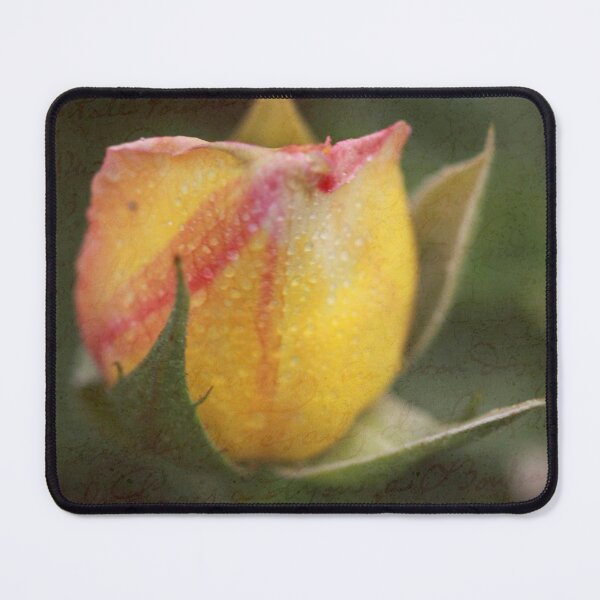Item preview, Rose Bud with Texture designed and sold by Robert Armendariz.