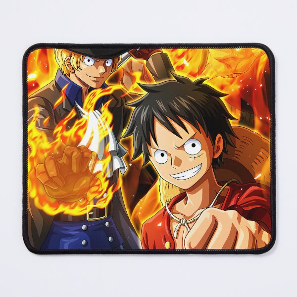 One Piece Anime and Manga