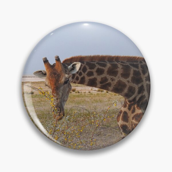 Item preview, Giraffe nibbling on a spiky bush  designed and sold by AussieAl.