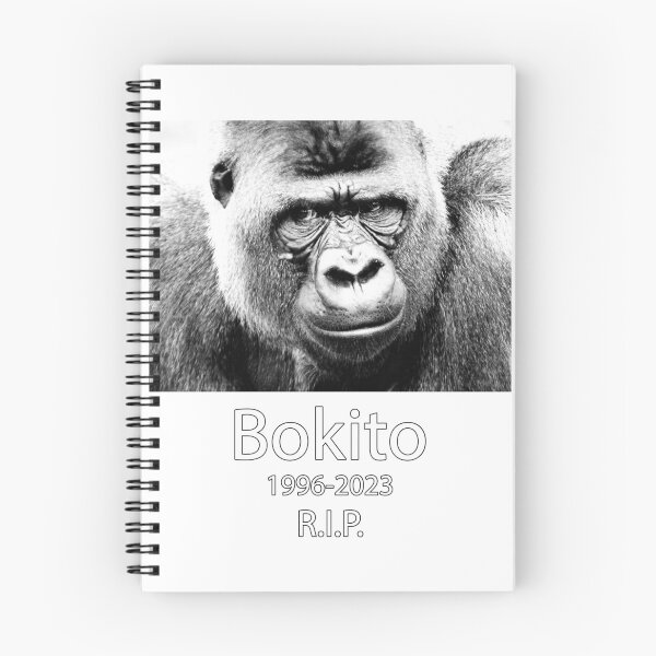 Item preview, Remembering Bokito designed and sold by BK-Fishing.