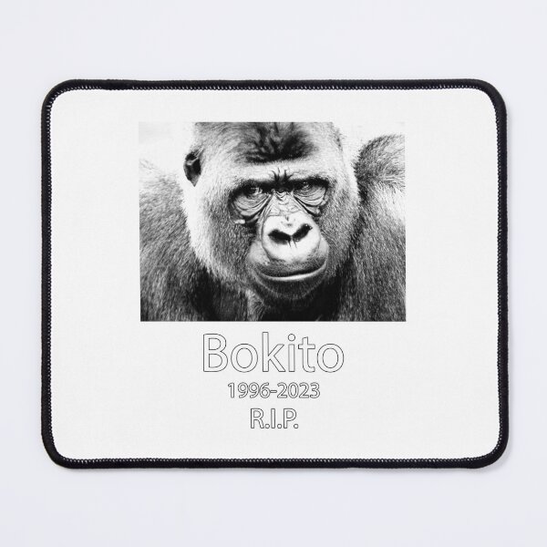 Item preview, Remembering Bokito designed and sold by BK-Fishing.