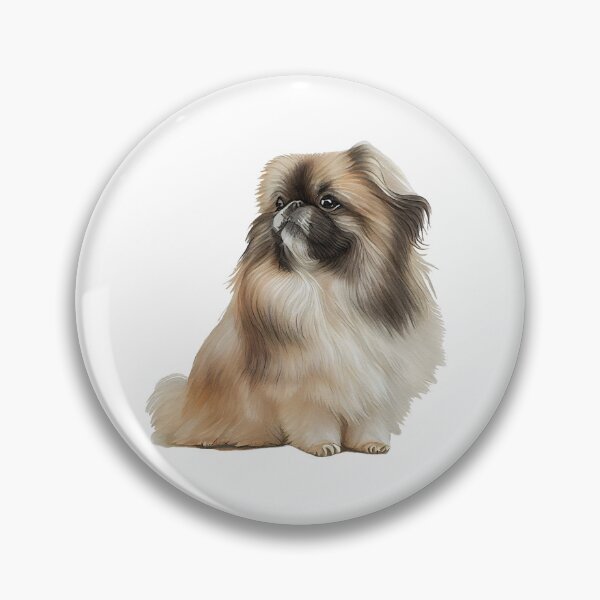 Pekingese Puppy