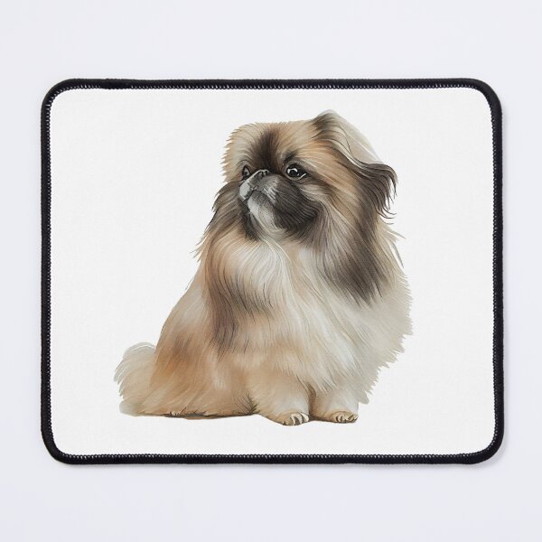 Pekingese Puppy