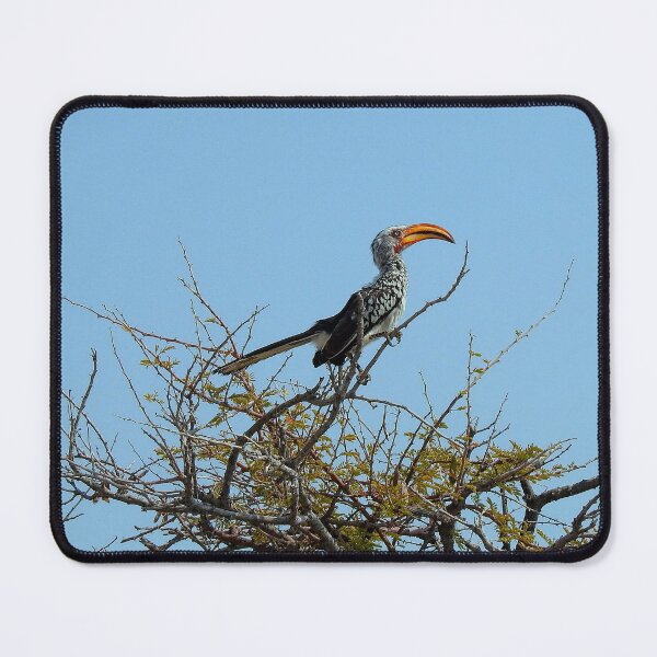 Item preview, Exotic African bird 2 designed and sold by AussieAl.