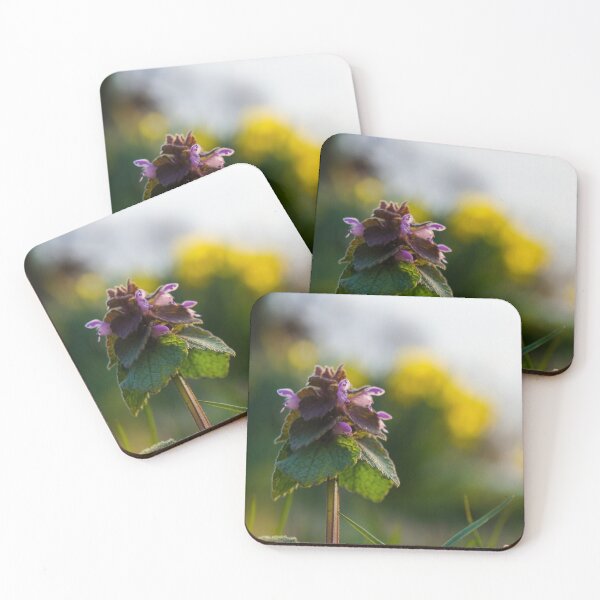 Item preview, Purple Deadnettle designed and sold by TheeForestFox Shop.