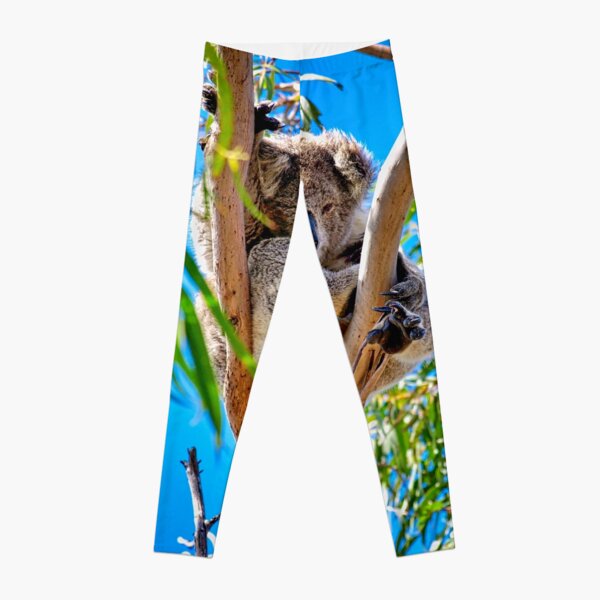 Cute Koalas Bear Leggings, Printed Leggings, Women Leggings