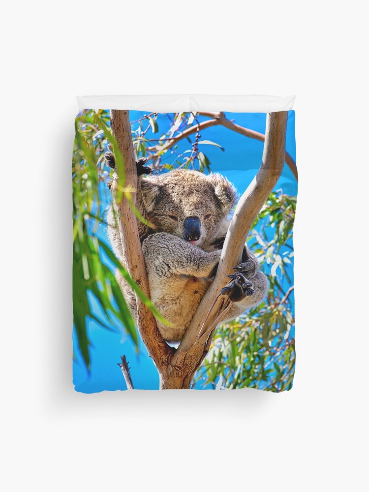 Koala Collage Ltd Ed Print - Art Lovers Australia