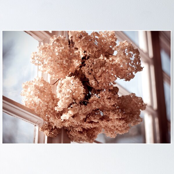 Item preview, hortensia dried flowers hanging designed and sold by Arletta Cwalina.
