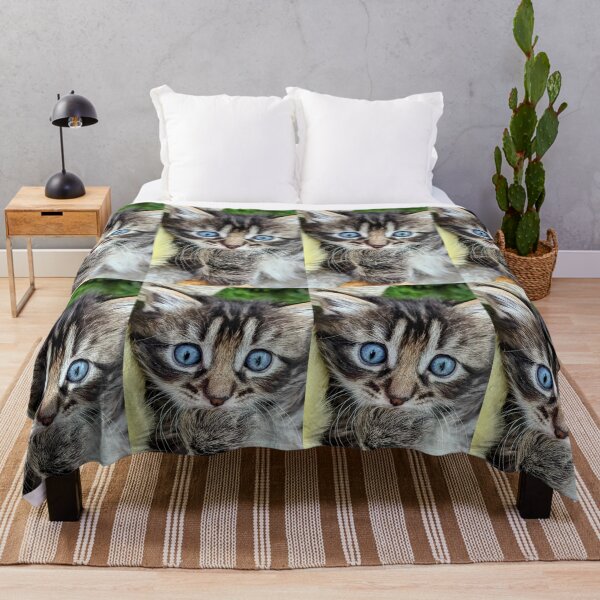 Item preview, Tiger striped ragdoll Norwegian forest tabby kittens  designed and sold by Fluffycat2020.