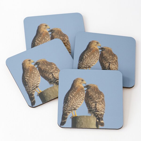 Item preview, Sing for me - Two hawks designed and sold by Zina Stromberg.