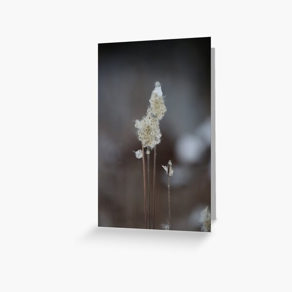 Winter floral Greeting Card