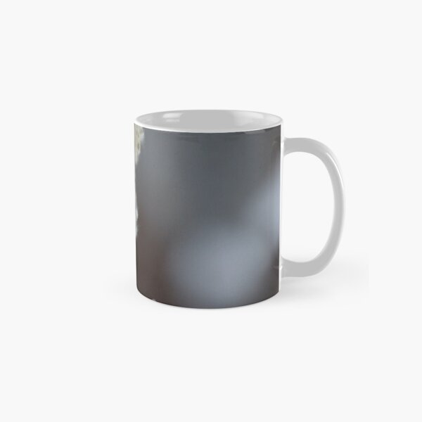 Winter floral Classic Mug
