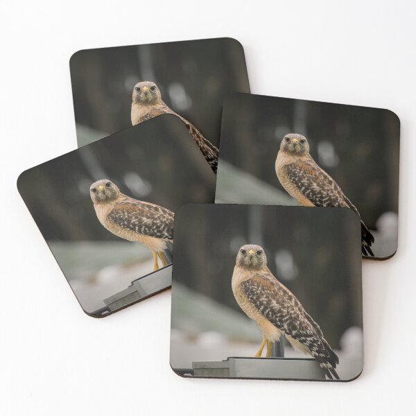 Item preview, Hawk Hunting designed and sold by Zina Stromberg.