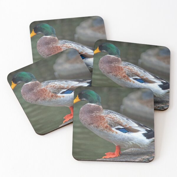Item preview, Quack Quack Quack designed and sold by Blackadder Photography.