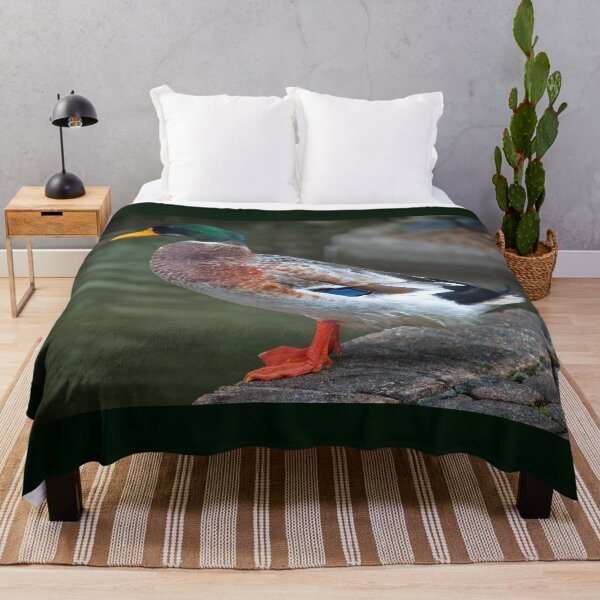 Item preview, Quack Quack Quack designed and sold by Blackadder Photography.