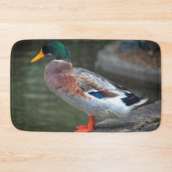 Item preview, Quack Quack Quack designed and sold by Blackadder Photography.