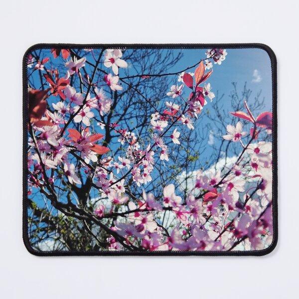 Item preview, Cherry blossom and blue sky designed and sold by KaisPrints.