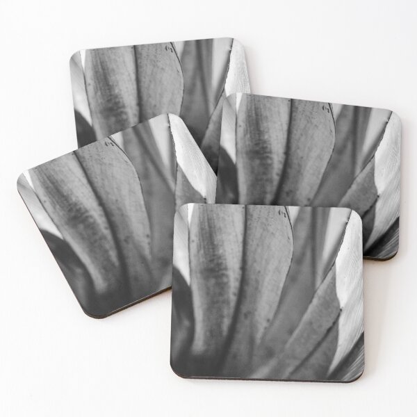 Item preview, Leaf Form Detail Late Summer Black and White Nature Beauty Vertical designed and sold by eddiebarronshop.