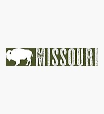 Bison: Missouri Photographic Print
