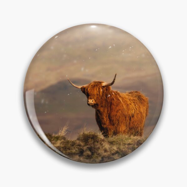 Item preview, A Ginger Highland Cow in Winter Wonderland designed and sold by TMcG72.