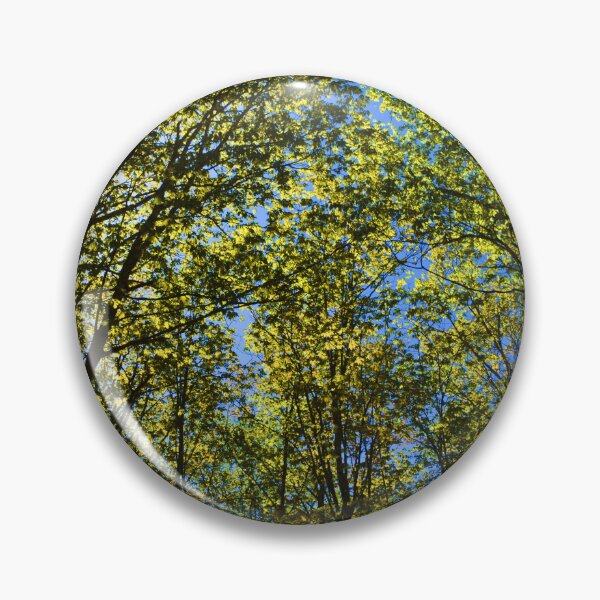 Item preview, A maple grove in summer designed and sold by Claude Laprise.